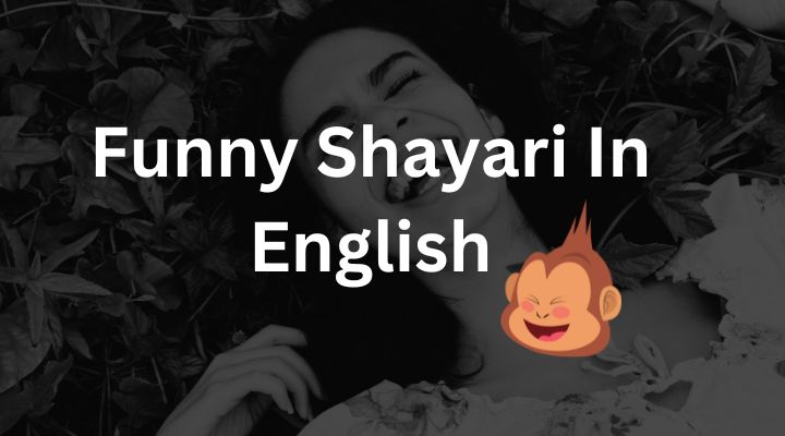 funny shayari in english Hindi
