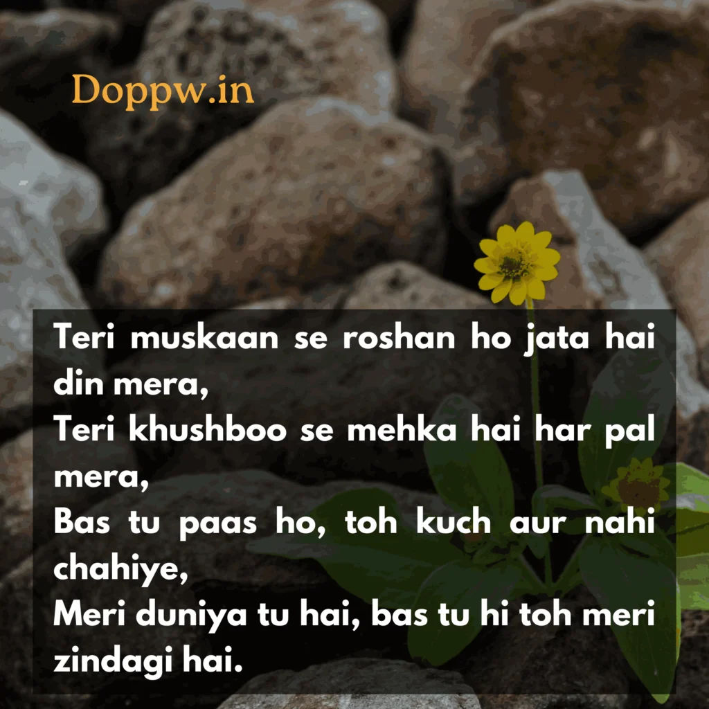 2 line love Shayari in English